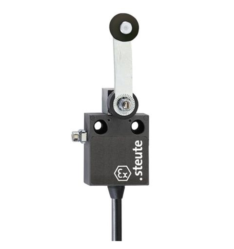 Ex Position switch Ex 12 DL 1m IP65 (1CO) II 2G Ex d IIC T6